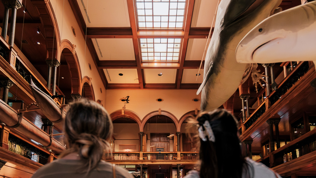 Bishop Museum