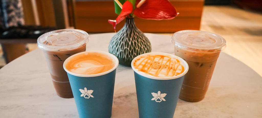 Holidays at Halepuna