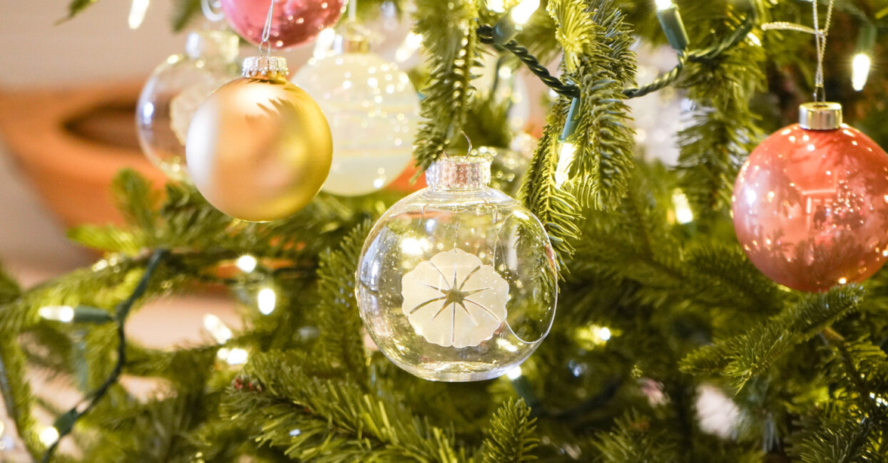 Holidays at Halepuna