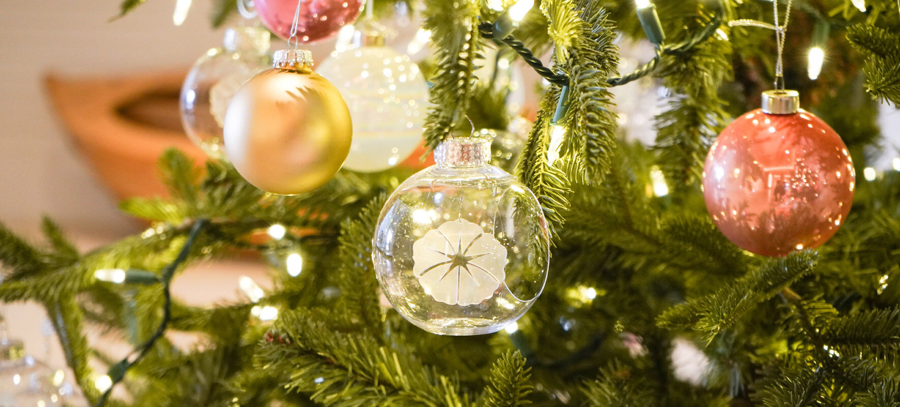 Holidays at Halepuna