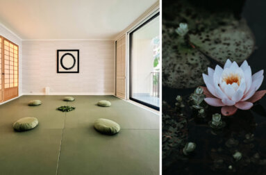 Guided Meditation